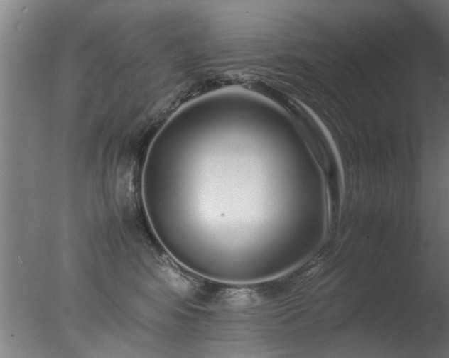 X0000077390424200610272018