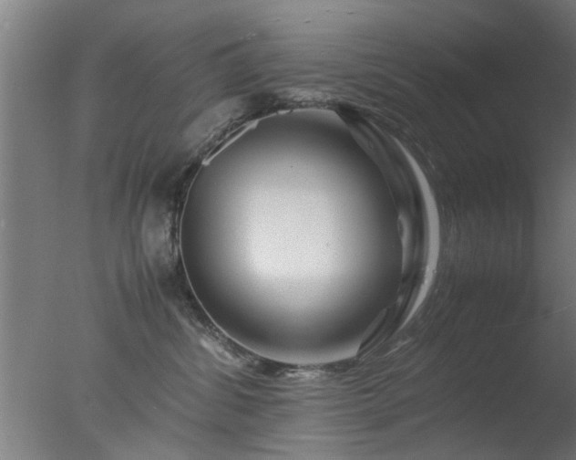 X0000077390428200610272017