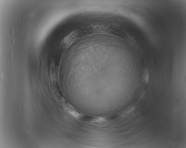 X0000077390431200610272017