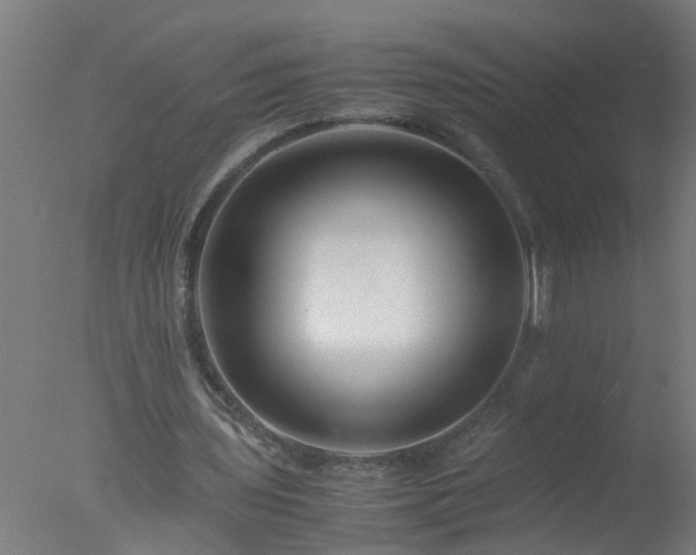 X0000077390435200610272017