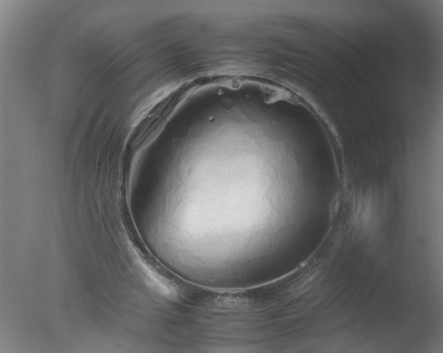 X0000077390437200610272017