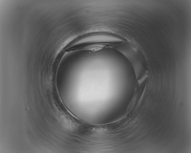 X0000077390440200610272017