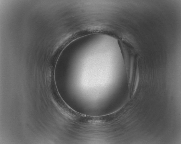 X0000077390448200610272017