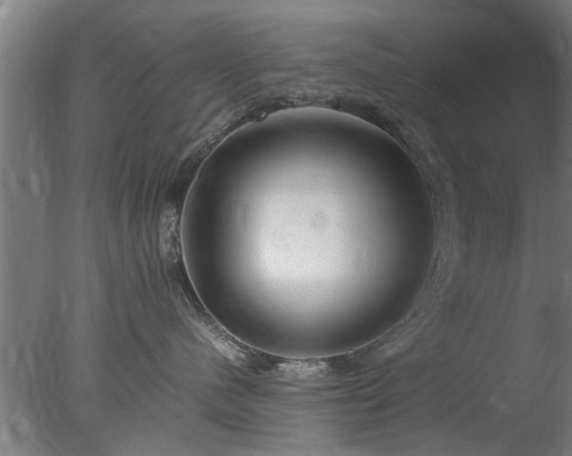 X0000077390480200610272017