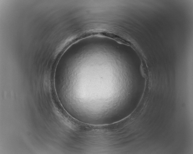 X0000077390482200610272017