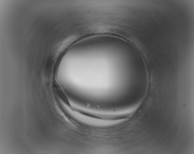 X0000077390485200610272016