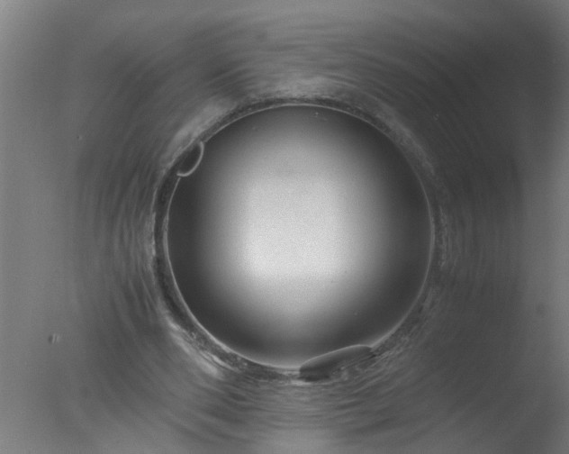 X0000077390486200610272016