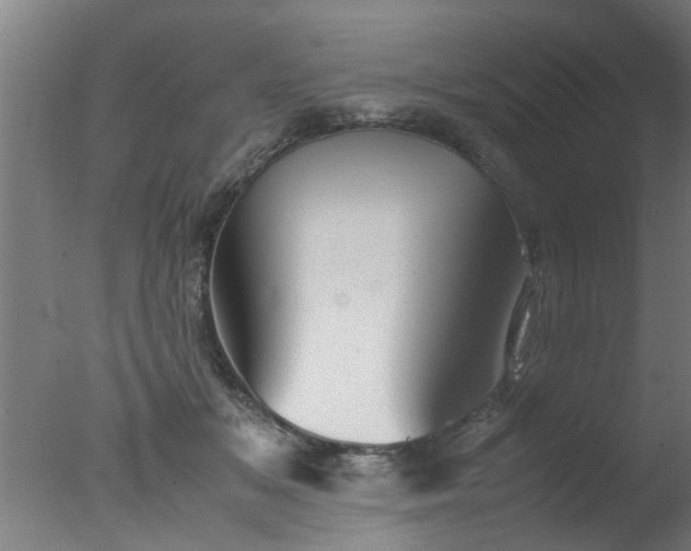 X0000077390509200610272016