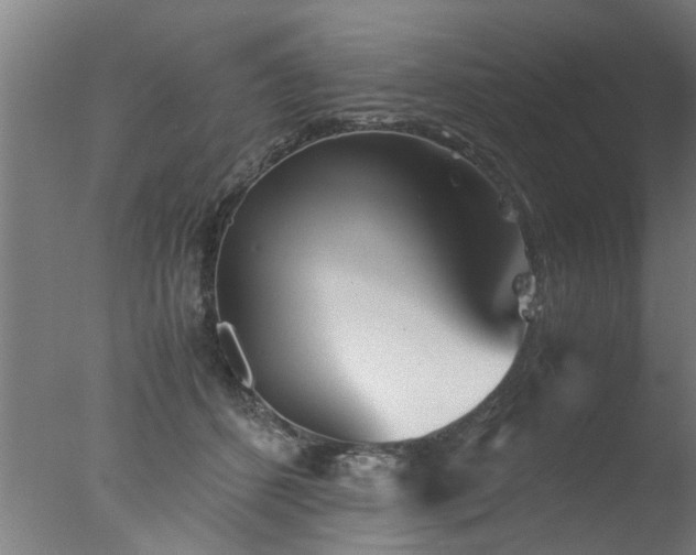 X0000077390512200610272016