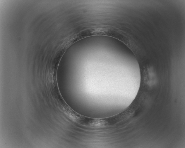 X0000077390514200610272016