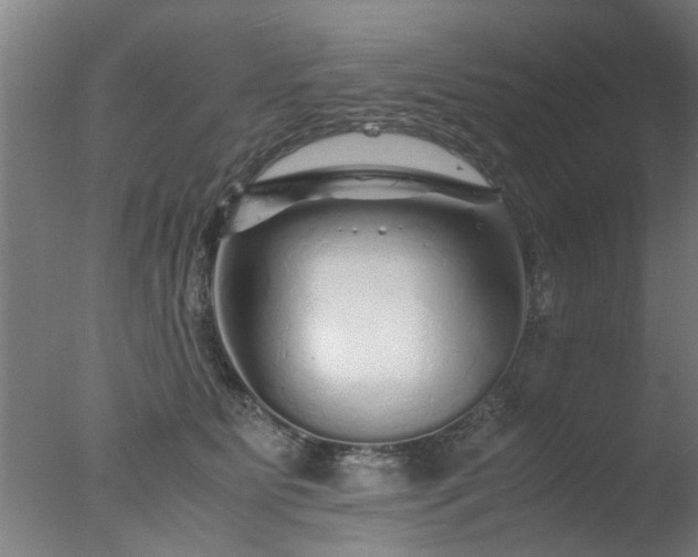 X0000077390515200610272016