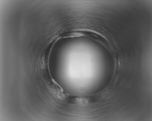 X0000077390520200610272016