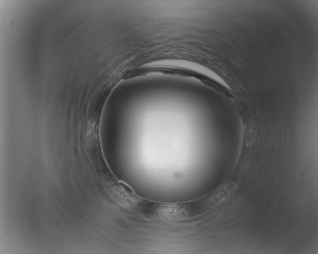 X0000077390521200610272016