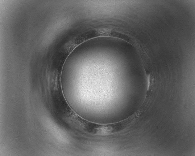 X0000077390525200610272016