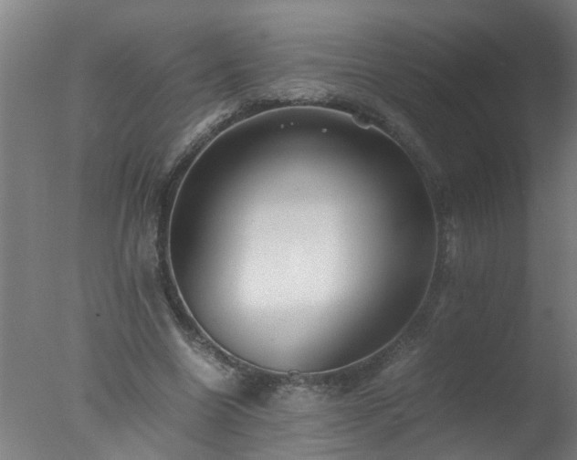 X0000077390538200610272015