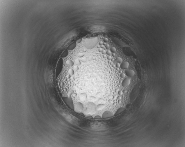 X0000077390549200610272015