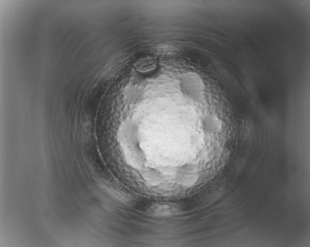 X0000077390557200610272015