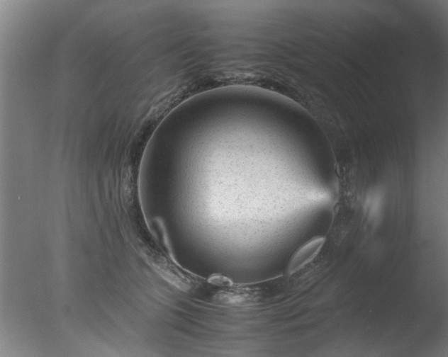 X0000077390563200610272016