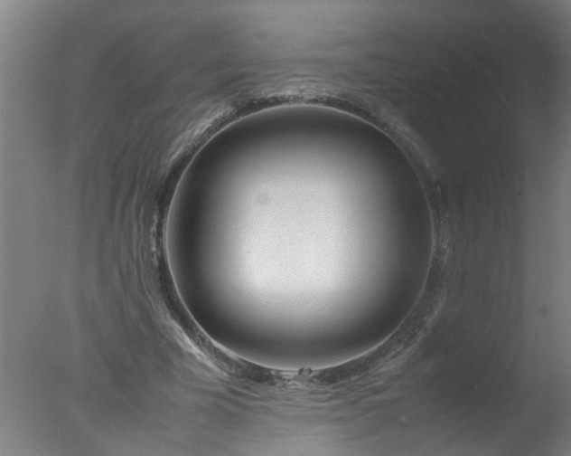 X0000077390585200610272015