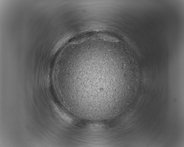 X0000077390586200610272015