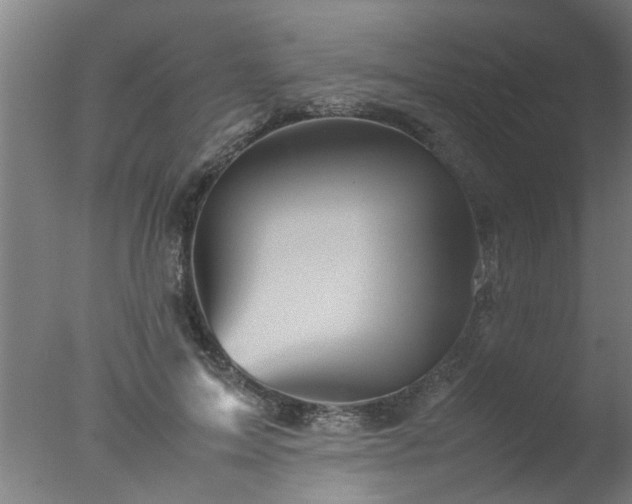 X0000077390599200610272015
