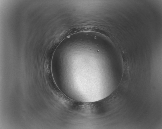 X0000077390615200610272014
