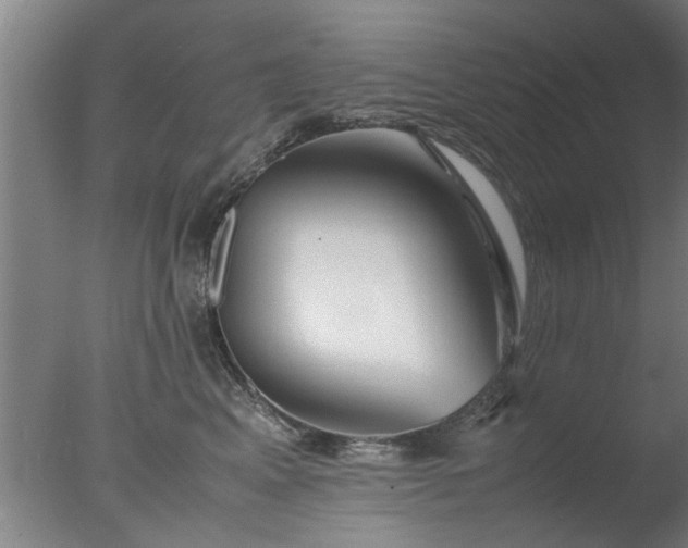 X0000077390617200610272014