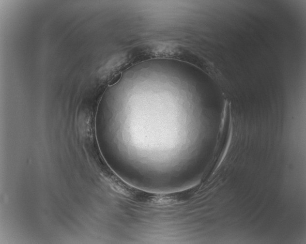 X0000077390619200610272014