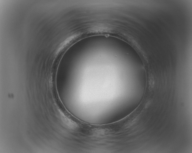 X0000077390629200610272013