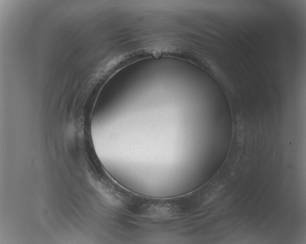 X0000077390631200610272013