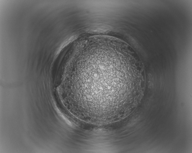 X0000077390634200610272013