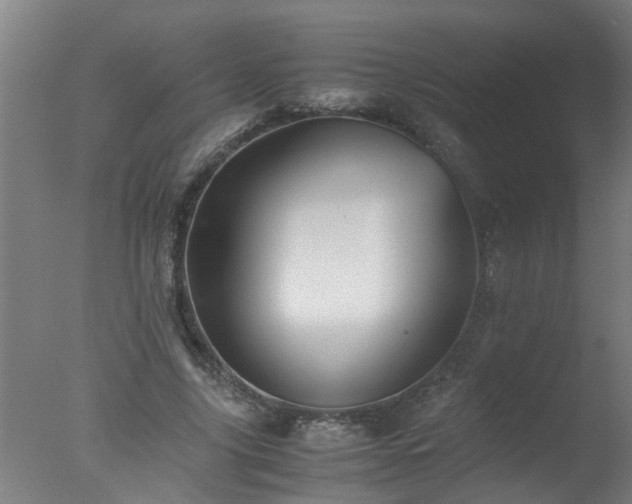 X0000077390635200610272013