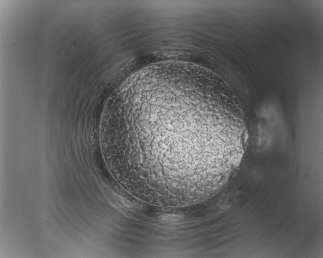 X0000077390653200610272014