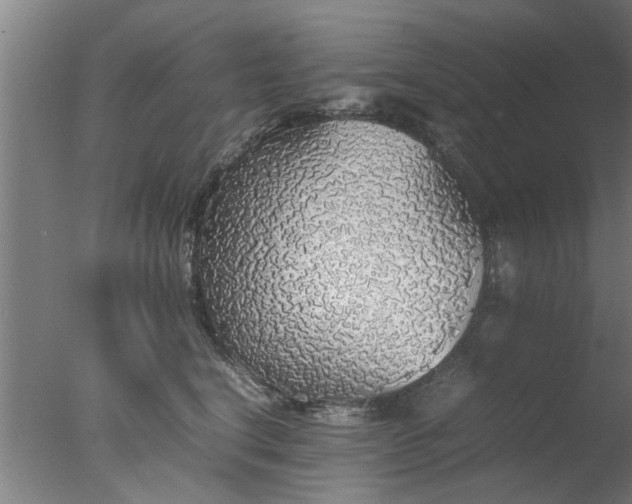 X0000077390664200610272014