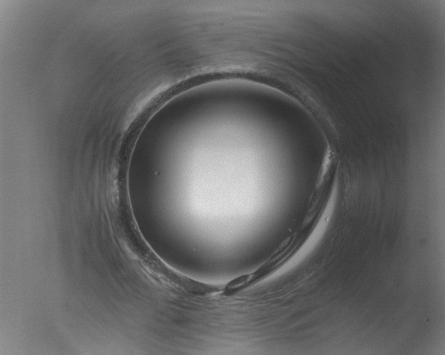 X0000077390676200610272013