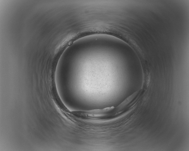 X0000077390677200610272013