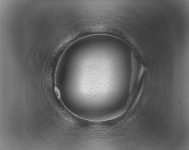 X0000077390681200610272013