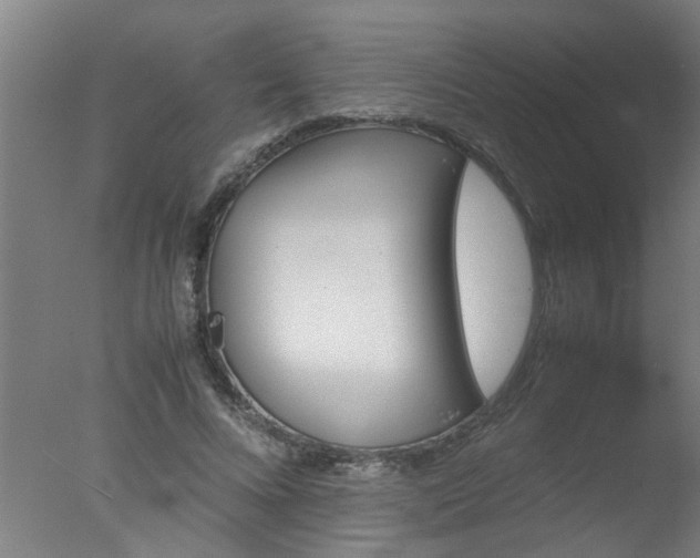 X0000077390688200610272013