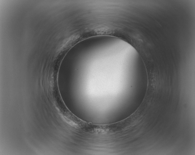 X0000077390690200610272013