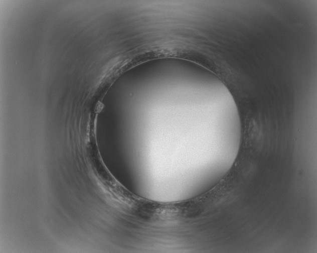X0000077390694200610272013