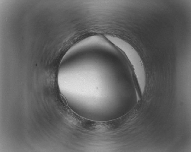 X0000077390697200610272013