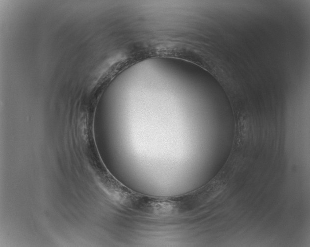 X0000077390698200610272013