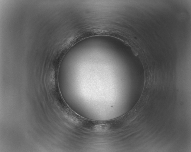 X0000077390700200610272013