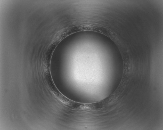 X0000077390706200610272013