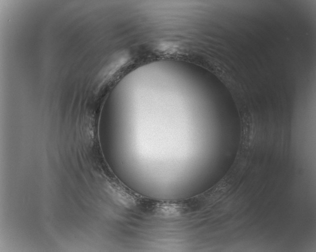 X0000077390710200610272013
