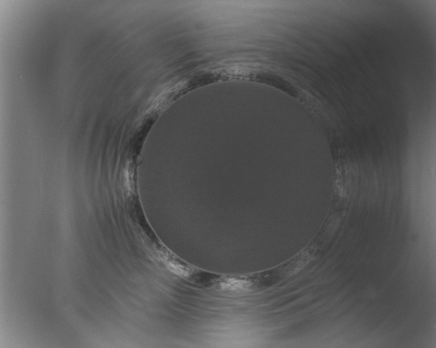 X0000077390718200610272013