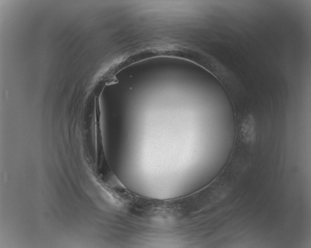 X0000077390732200610272012