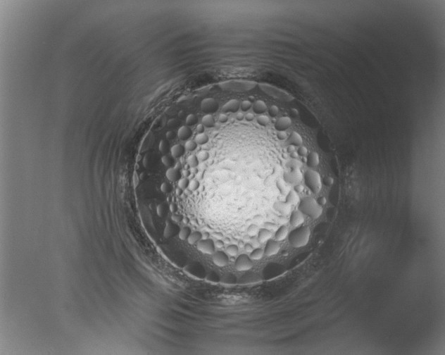 X0000077390741200610272012