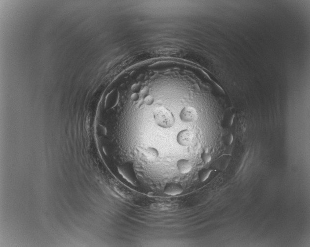 X0000077390745200610272012