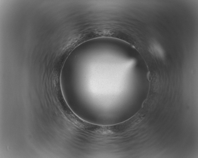 X0000077390747200610272012